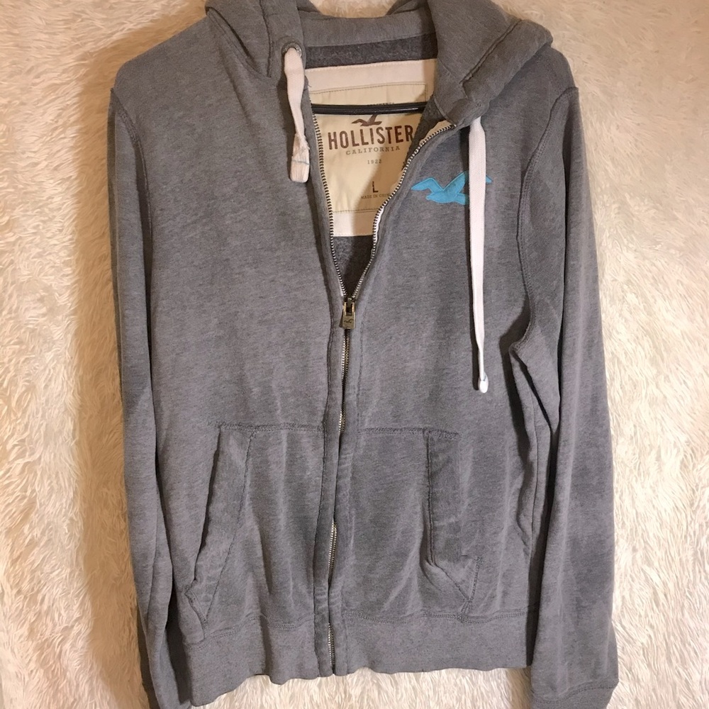 HOLLISTER MENS L